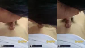 Erwin3216 Disepongin