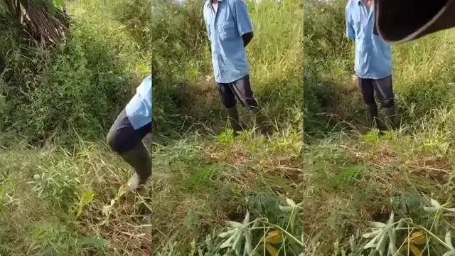 Prank Tukang Kebun
